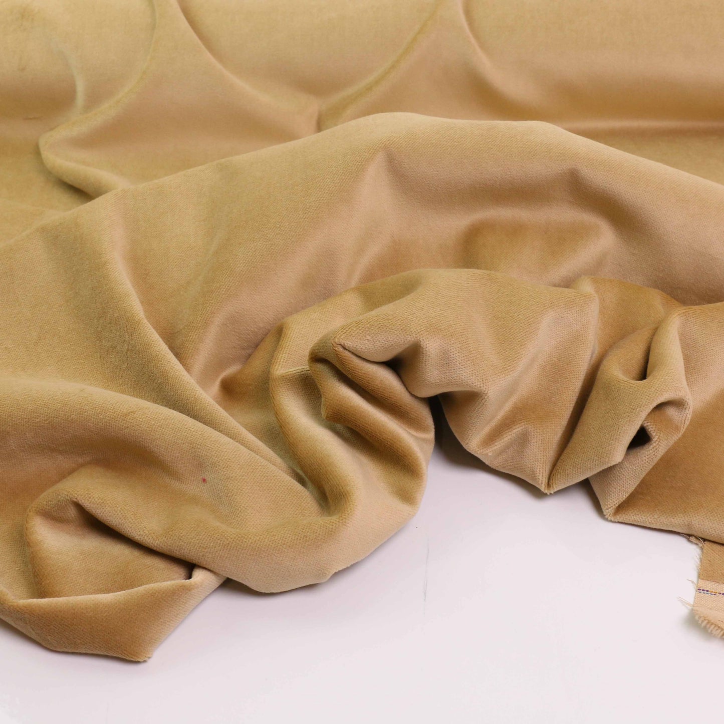 Cotton Velvet fabric - Gold