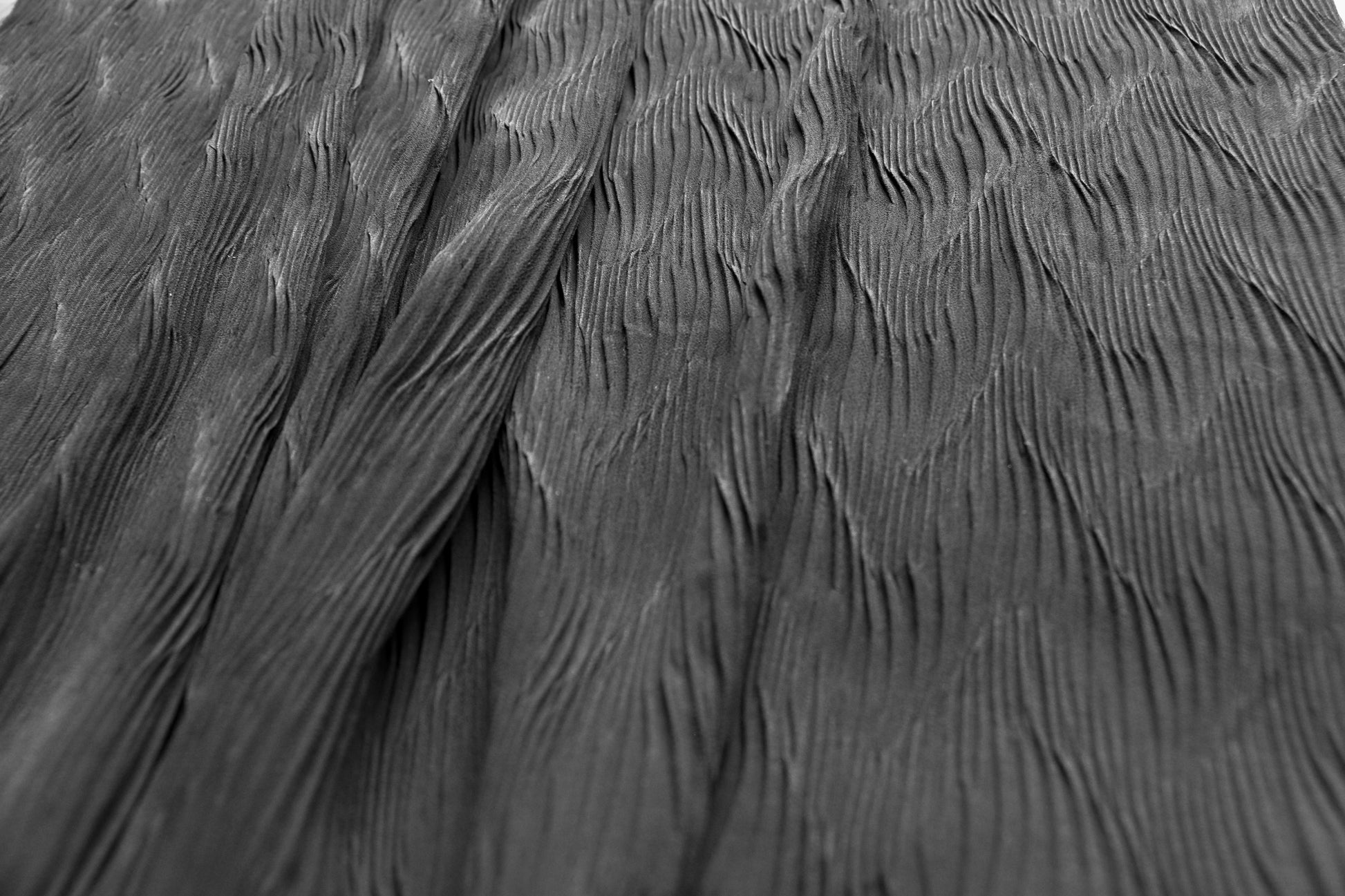 plisse-chiffon-fabric-pleated-design-black-colour-clothcontrol