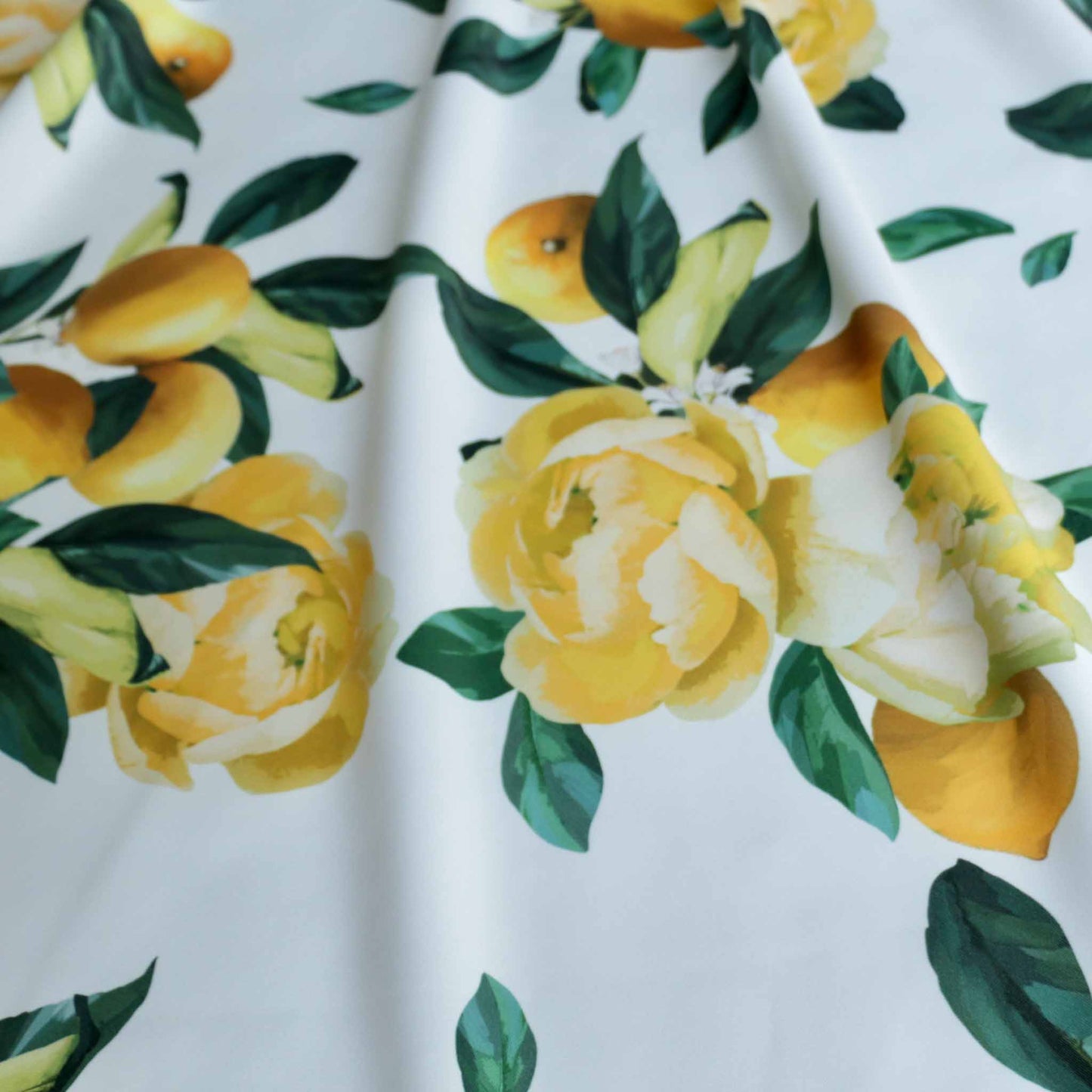 white scuba jersey dressmaking fabric with lemon print design by john Kaldor
